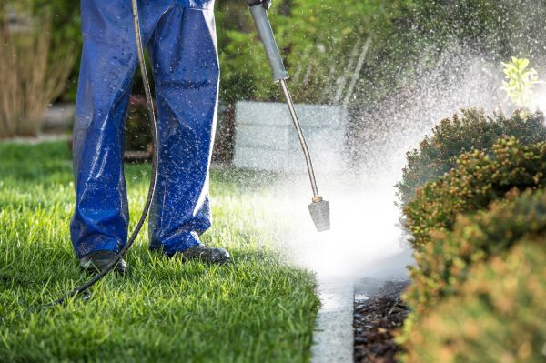 Cost of Curb Cleaning in Redmond