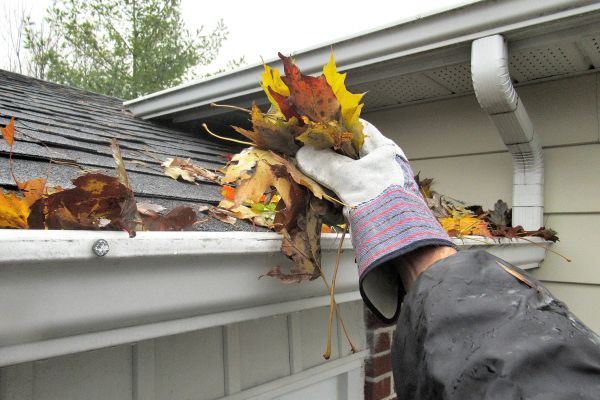 Cost of Eaves Cleaning in Redmond