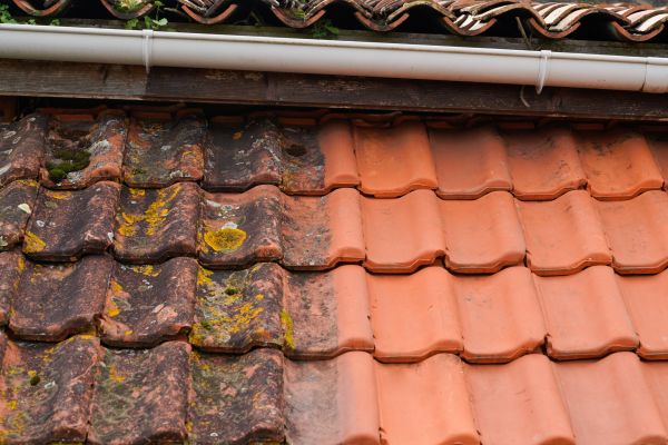 Industrial Roof Cleaning in Redmond