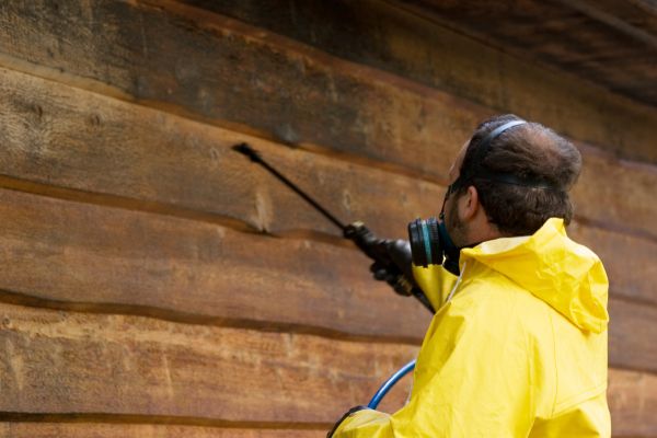 Cost of Cedar Siding Washing in Redmond